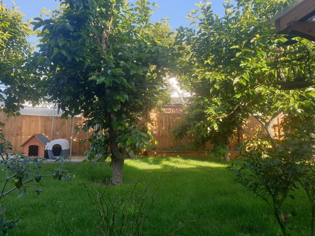 דירות המילטון Bed N Breakfast On Pear Tree Lane מראה חיצוני תמונה